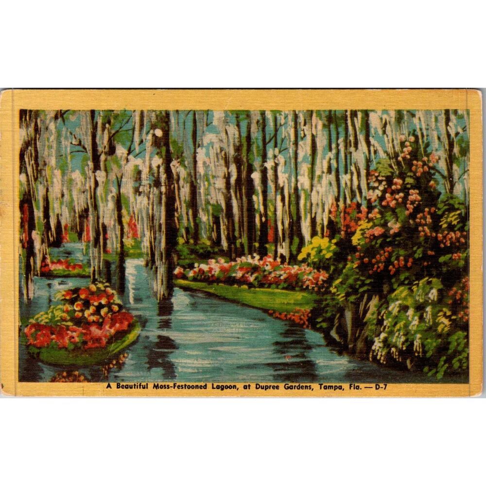 Beautiful Moss-Festooned Lagoon Tampa FL 1952 Vintage Postcard SP17-18